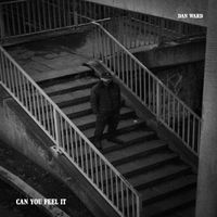 Dan Ward - Can You Feel It