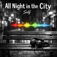 Self - All Night in the City (Edit)