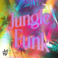 Hannes Gottwald - Jungle Funk
