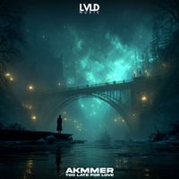 Akmmer - Too Late For Love