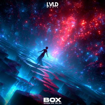 Box - Where Did You Go