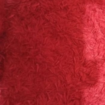 albert - tanah dan debu