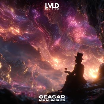 CEASAR - Mr Mumbles