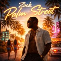 Zook - Palm Street (Radio Edit)