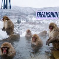 amin - Freakshun