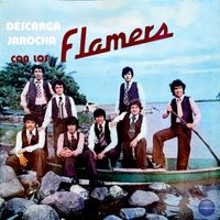 Los Flamers - Descarga Jarocha