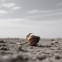 Erik - a rejected hope