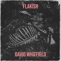 DAVID WHITFIELD - Flakish (Explicit)