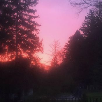 somnia - not enough