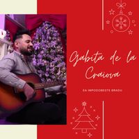 Gabita de la Craiova - Ea Impodobeste Bradu