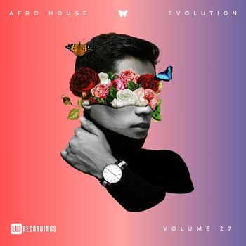 Various Artists - Afro House Evolution, Vol. 27