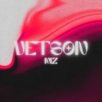 Niz - VETSON