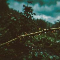 Yory - Rose (Explicit)