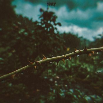 Yory - Rose (Explicit)