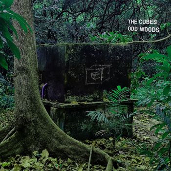 The Cubes - Odd Woods