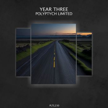 Various Artists - Polyptych Limited: Year Three