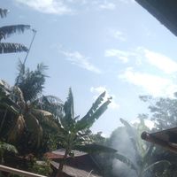 jon - Hirup Teh Kos Kieu Wae