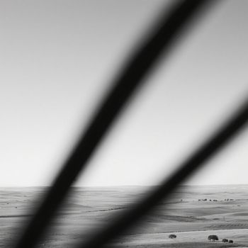 Clovis - senja yang kunanti