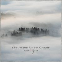 Van.Gao - Mist in the Forest Clouds