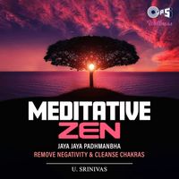 U. Srinivas - Meditative Zen