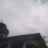 jonson - mulang ka asal