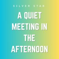 Silver Star - A Quiet Meeting in the Afternoon