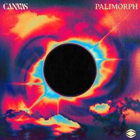 Canvas - Palimorph