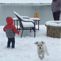 Eli G - blind i run (Explicit)