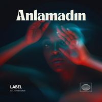 Müslüm Arı - Anlamadın