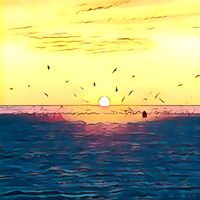 Open Window - Thin Sun