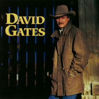David Gates - Love Is Always Seventeen