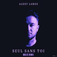 Alexy Large - Seul sans toi (Molio Remix)