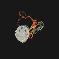 Maarten Hogenhuis - Springtails