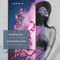 Levoir - Workplace Concentration