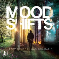 Kai Fenchel, Jan Goepelt - Mood Shifts
