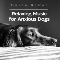 Quinn Rowan - Relaxing Music for Anxious Dogs