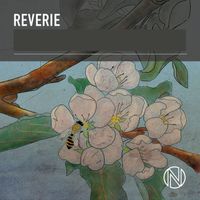 Peter Mills - Reverie