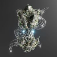 Sideral - Selva Floresta