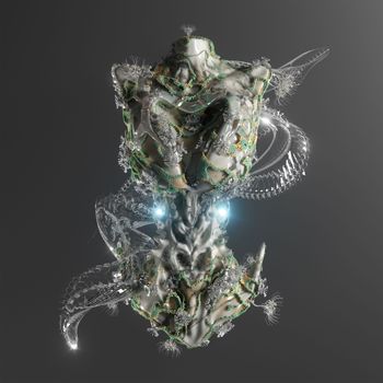 Sideral - Selva Floresta