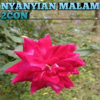Condro - Nyanyian malam 2con