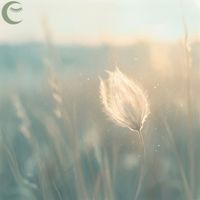 Meadowlight Tones - Meadowlight Relaxation Haze