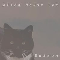Edison - Alien House Cat