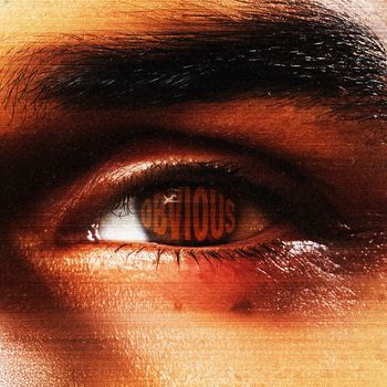 Chris Brown - Obvious (Explicit)