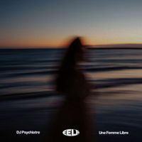 DJ Psychiatre - Could Be Gone