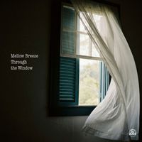 DJ LEE - Mellow Breeze Through the Window