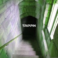 amgine - trippin (Explicit)