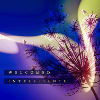 Various Artists - Welcomed Intelligence