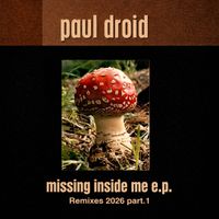 Paul Droid - Missing Inside Me (Remixes 2026 Part.1)
