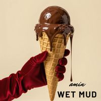 amin - Wet Mud