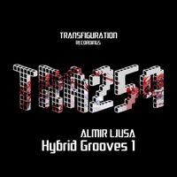 Almir Ljusa - Hybrid Grooves 1